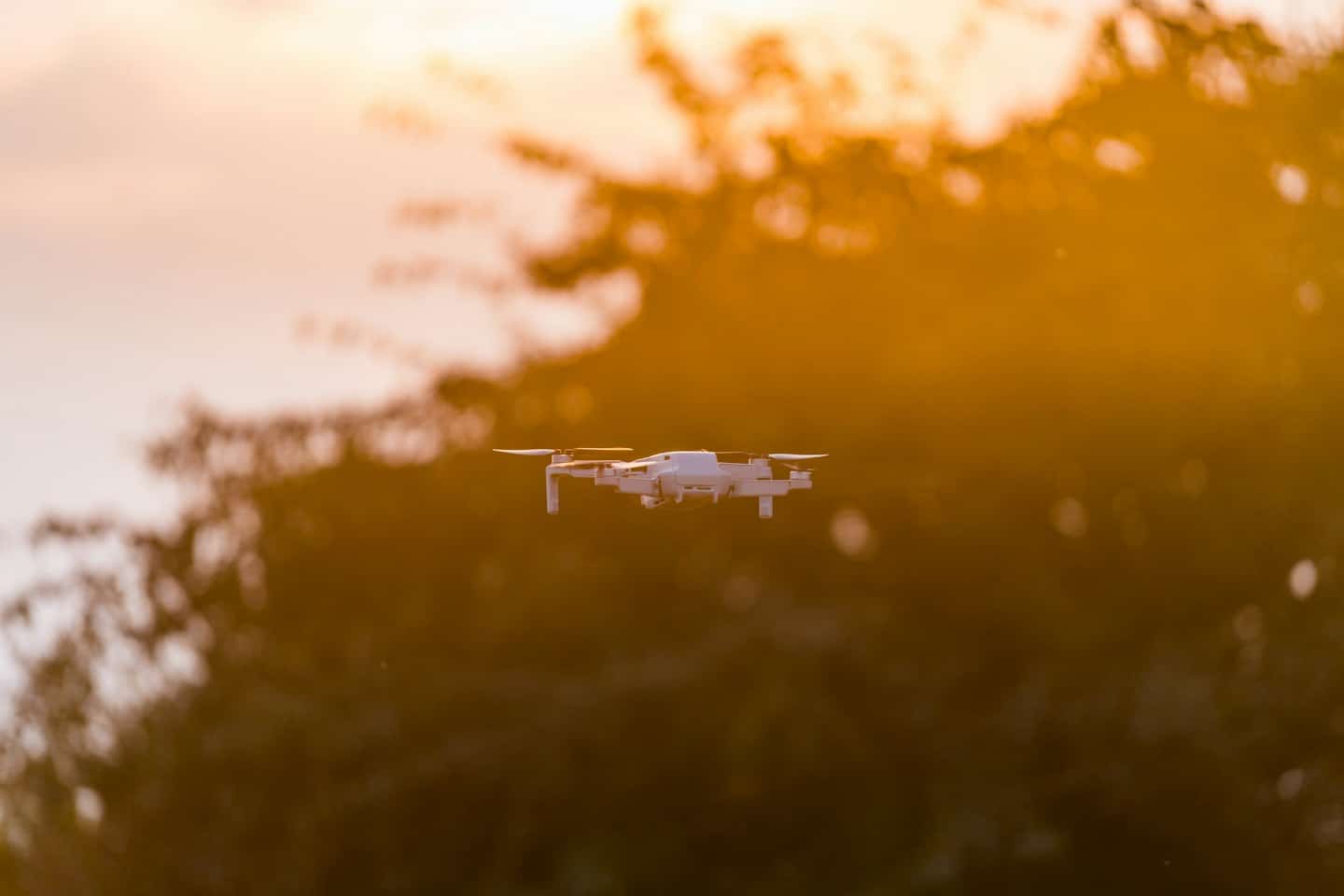 Home Un drone bianco è sospeso a mezz'aria sopra il fogliame verde.